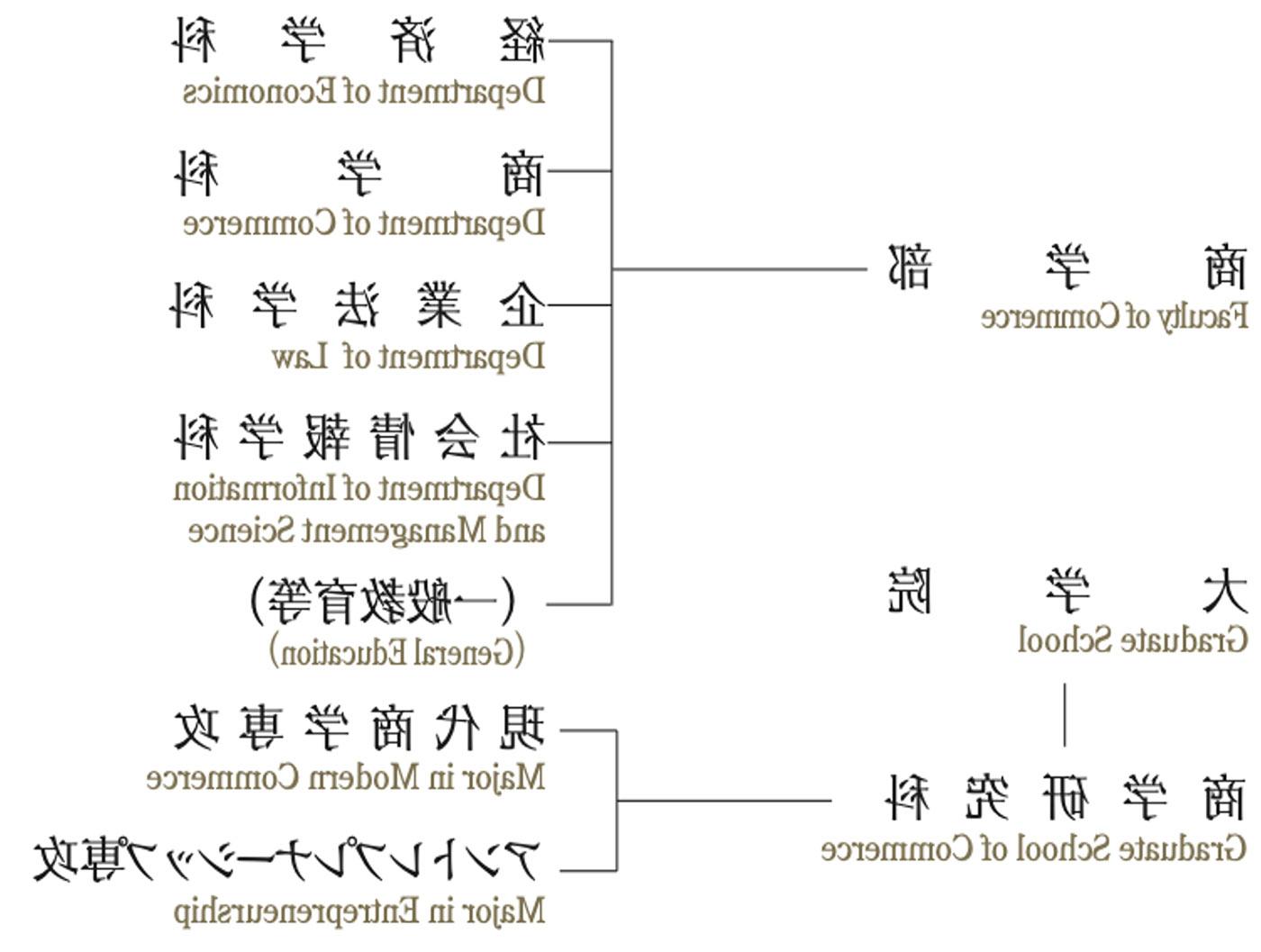 图片54